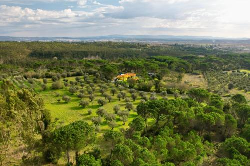 an aerial view of a field with trees and a house at Quinta Ivonne in Montemor-o-Velho