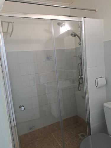 a shower with a glass door in a bathroom at Le Paradis bleu in Sainte-Anne