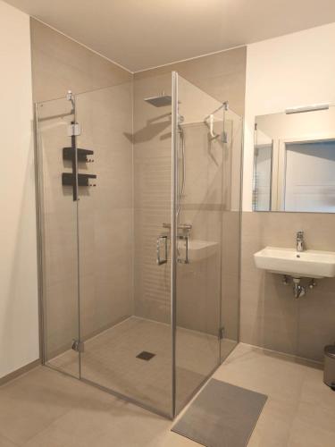 a bathroom with a shower and a sink at SeeZeitApartments Whg 4 in Lembruch