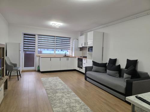 Gallery image of Double rooms apartament in Sînpetru