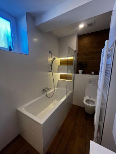 a bathroom with a tub and a toilet at Baťovský dům ZLÍN in Zlín