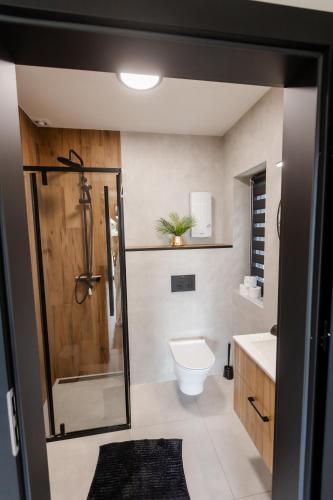 a bathroom with a shower and a toilet and a sink at Domki Pod Łysicą- basen jacuzzi sauna in Krajno Pierwsze