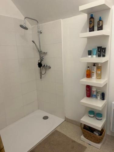 une salle de bain avec douche et étagères blanches dans l'établissement Gîte la plotuère, à Gy-en-Sologne