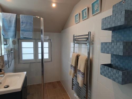 a bathroom with a sink and a shower at Santa Maria in Ferdinandshof