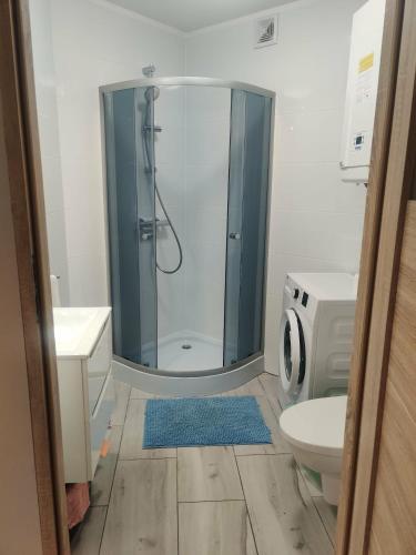 a bathroom with a shower and a toilet and a sink at Apartament Charlie in Darlowko