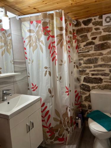a bathroom with a toilet and a shower curtain at ΜΑΡΙΓΟΥΛΑΜ in Kalesménon