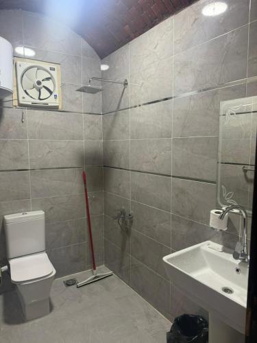 a bathroom with a toilet and a sink at ASKALEIH Nubian Guest House in Aswan