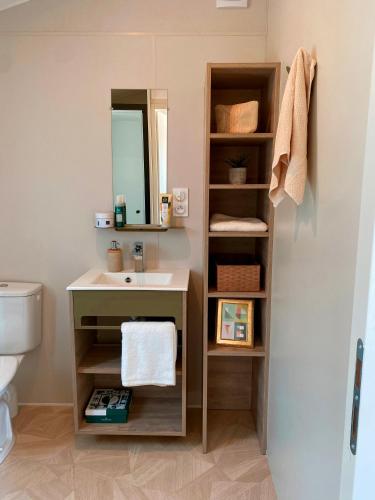 a bathroom with a sink and a mirror at Camping Le Solitaire du Lac in Saint-Jorioz