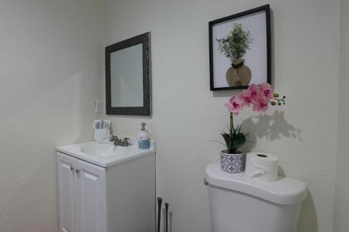 a bathroom with a toilet and a sink and a mirror at Modern Oasis Studio - near LAX, SoFi, USC, DTLA in Los Angeles
