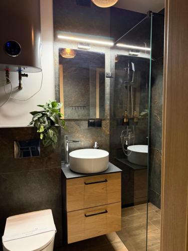 Et badeværelse på Apartament MOCHA Szczytno Mazury