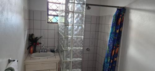 a bathroom with a shower with a toilet and a sink at Villas De Morne in Castries