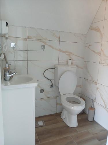 a bathroom with a toilet and a sink at Apartmani Janjusevic in Nikšić