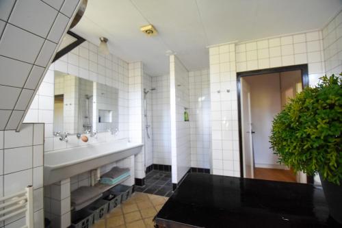 a bathroom with a sink and a mirror at Klein Nieuwe Wegen in Ons Belang