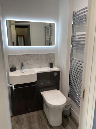 a bathroom with a sink and a toilet and a mirror at Comfortable Apartment set in an Old Mill in Westbury
