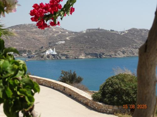 a view of a lake with a red flower at Gaia house, Ios Greece in Tzamaria