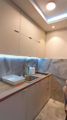 a kitchen with a sink and a counter top at Apartman Taris in Vrnjačka Banja