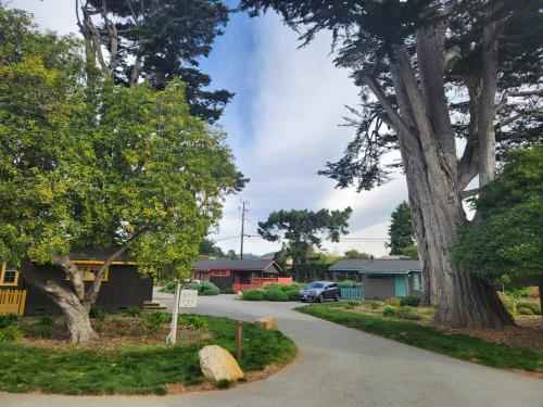 a street in a residential neighborhood with trees at Carmel River Inn & Cottages in Carmel