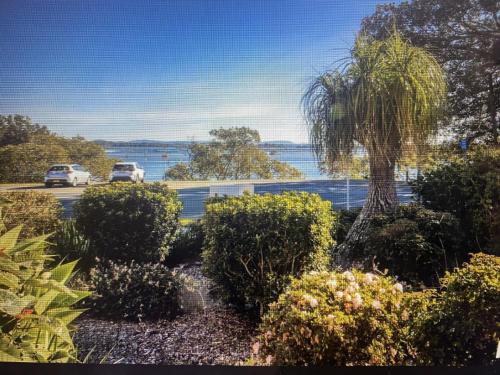 a palm tree on the side of a road with bushes at The Lakeside Garden in Forster