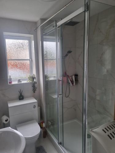 a bathroom with a shower and a toilet and a sink at The Pringle Inn in Great Baddow