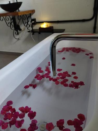 a bath tub filled with red rose petals at Cantinho da Paz in Socorro