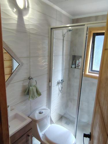 a bathroom with a shower and a toilet and a sink at Cabaña Valdivia in Valdivia