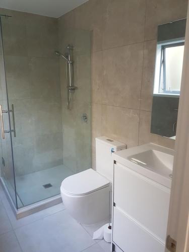 a bathroom with a shower and a toilet and a sink at Dream House 5 in Auckland