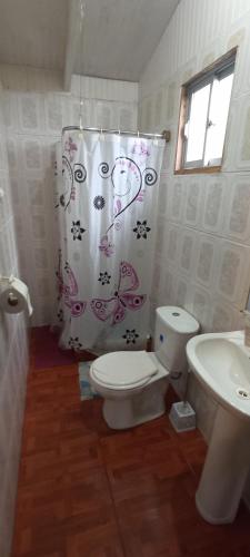 a bathroom with a toilet and a shower curtain at Cabaña Quiroz in Valdivia