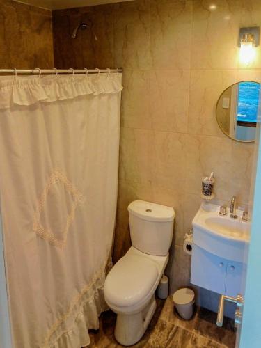 a bathroom with a toilet and a sink at Casa Cabaña Los Zorzales Santa Clara del Mar-Argentina in Santa Clara del Mar