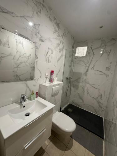 a bathroom with a sink and a toilet and a shower at Apparemment Gütenberg-Cathedrale in Strasbourg