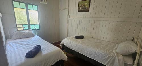 a bedroom with two beds and a window at Main St Heritage Charm & Walk to Restaurants in Mount Tamborine