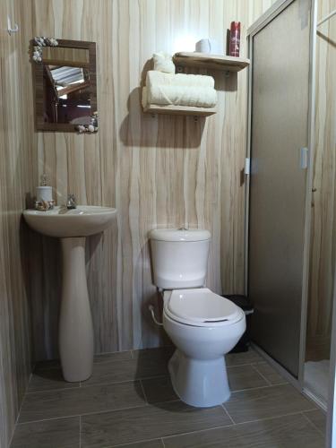 ein Badezimmer mit Toilette und Waschbecken in der Unterkunft Hospedaje Rural Shihumar in Coquí