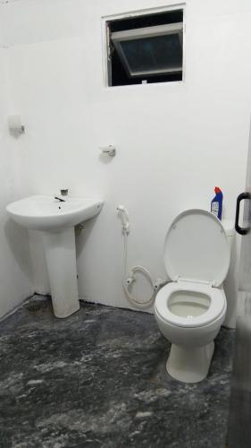 a bathroom with a toilet and a sink at Sinharaja Backpacker Homestay in Kandilpana
