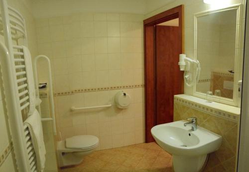 a bathroom with a toilet and a sink at Geréby Kúria Hotel és Lovasudvar in Lajosmizse