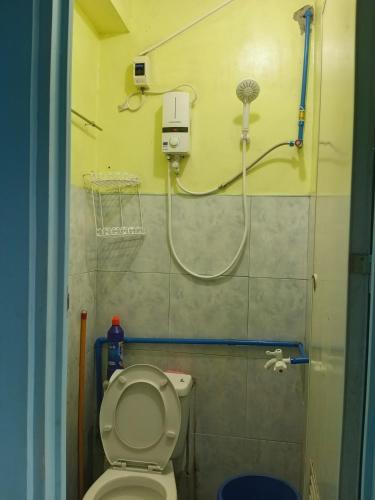 a small bathroom with a toilet and a shower at iya lee guest hauz in Capissayan