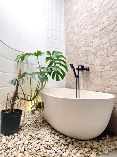 a bathroom with a white tub and plants on a rock counter at Coconut Villa in Kerobokan