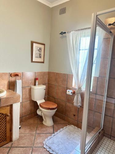 a bathroom with a toilet and a shower at Guesthouse 52 in Groblersdal