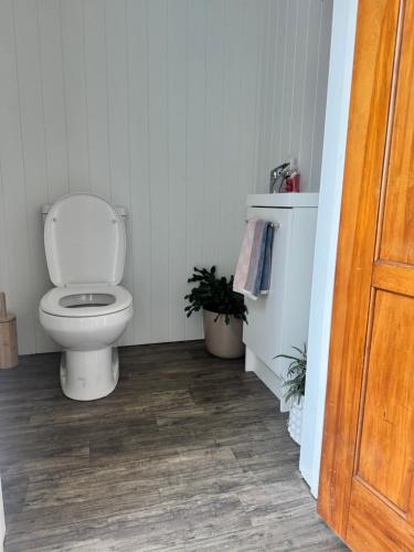 a bathroom with a white toilet in a room at Harbourview Hideaway in Riverton