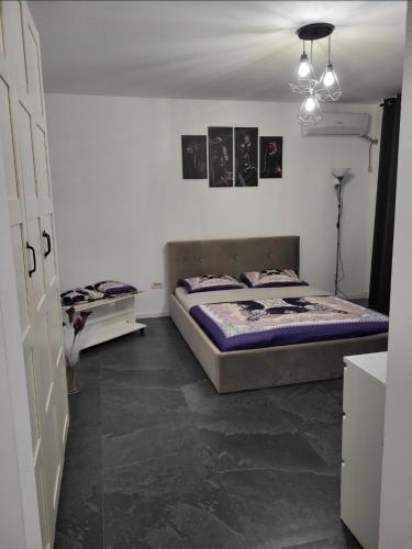 a bedroom with two beds in a room at Apart 1 Dragonul Rosu - Spital Fundeni in Dobroeşti