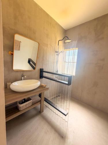 a bathroom with a sink and a mirror at Lakaz Riviere Banane in Trèfles