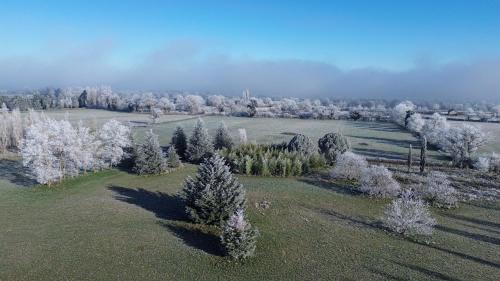 an aerial view of a field with trees and grass at Aux 3 Forêts in Bizeneuille