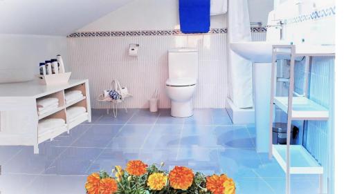 a bathroom with a toilet and a blue tile floor at alaia apartamento in Zarautz