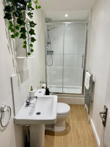 a bathroom with a toilet and a sink and a shower at Charming 6 Bed Flat in Bedminster - Sleeps 8 in Bristol