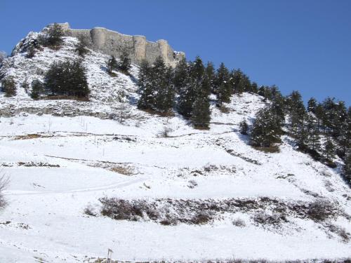a mountain covered in snow with trees on it at Casale Maginulfo in Roccamandolfi