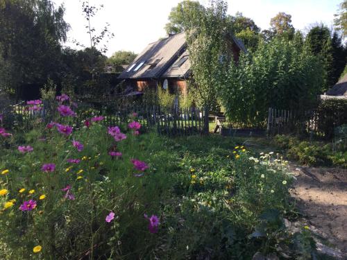 a garden with flowers in front of a house at B&B L'Eau Claire in La Hulpe
