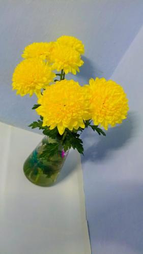 a bunch of yellow flowers in a vase at Prayagraj Sangam Stay Home Kareli Allahabad in Prayagraj