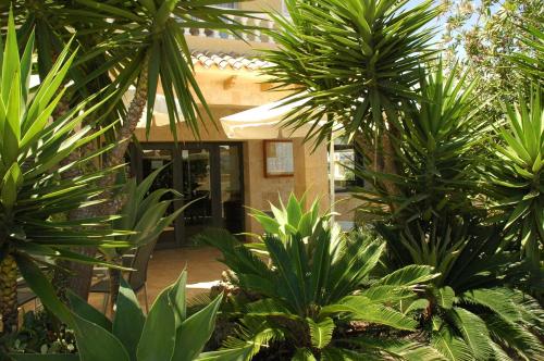 Zahrada ubytování Hotel Noguera El Albir