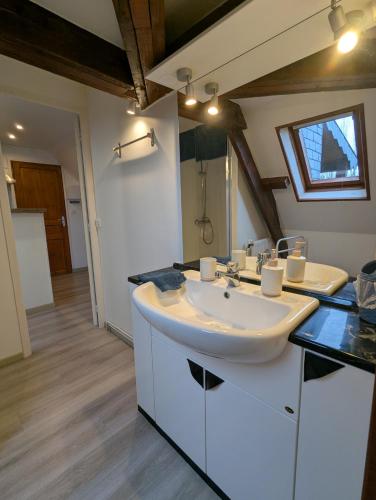 a bathroom with a white sink and a mirror at Le Moment Normand in Émalleville