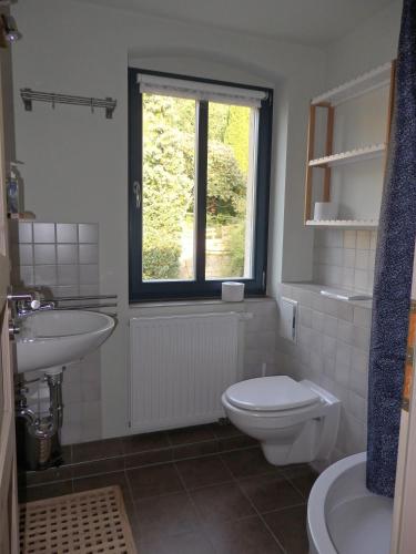 a bathroom with a toilet and a sink and a window at Herberge Landstreicher in Königstein an der Elbe