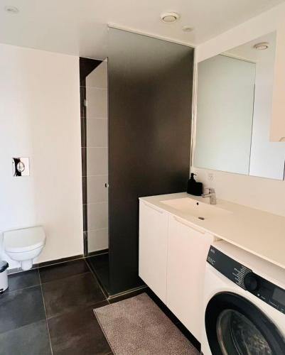 a bathroom with a washing machine and a sink at Ama Hyg Atelier Copenhagen Royal Arena 2 Bedrooms Apartment in Copenhagen