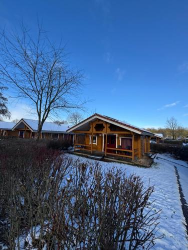 a log cabin in the snow with a tree at Kiwi-Cabin 45 in Gramsbergen